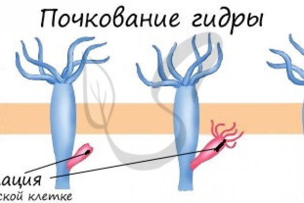 Как зайти через blacksprut blacksprutl1 com